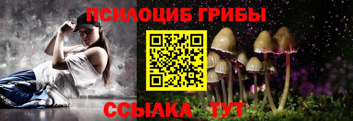 наркота  Вход с VPN  Галлюциногенные грибы Magic Shrooms  Славгород  Галлюциногенные грибы Psilocybe 